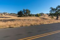 a person riding a bike on the street near trees on either side of the road