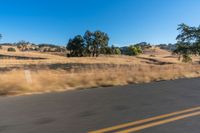 a person riding a bike on the street near trees on either side of the road