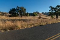 a motorcycle traveling down the road near a rural area with trees on either side of it