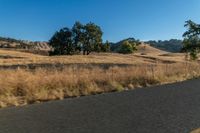 a motorcycle traveling down the road near a rural area with trees on either side of it