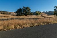 a motorcycle traveling down the road near a rural area with trees on either side of it