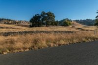 a motorcycle traveling down the road near a rural area with trees on either side of it