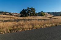 a motorcycle traveling down the road near a rural area with trees on either side of it