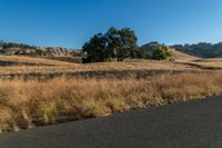 a motorcycle traveling down the road near a rural area with trees on either side of it