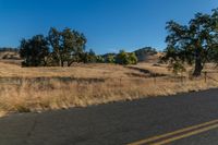 a motorcycle traveling down the road near a rural area with trees on either side of it