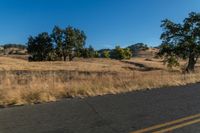 a motorcycle traveling down the road near a rural area with trees on either side of it