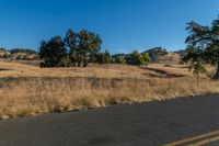 a motorcycle traveling down the road near a rural area with trees on either side of it