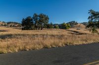 a motorcycle traveling down the road near a rural area with trees on either side of it