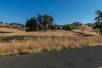 a motorcycle traveling down the road near a rural area with trees on either side of it