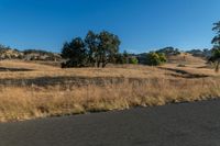 a motorcycle traveling down the road near a rural area with trees on either side of it