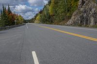 Rural Landscapes of Ontario: Tree Vegetation in Canada