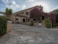 Rural Majorca: A Picturesque Agricultural Scene