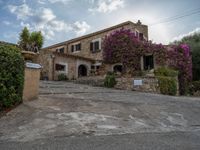 Rural Majorca: A Picturesque Agricultural Scene