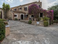 Rural Majorca: A Picturesque Agricultural Scene