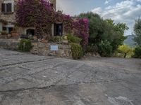 Rural Majorca at Dawn: A Glimpse of Agriculture