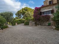 Rural Majorca at Dawn: Agriculture in Open Spaces