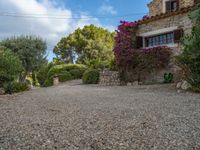 Rural Majorca at Dawn: Agriculture in Open Spaces