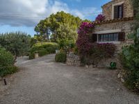 Rural Majorca at Dawn: Agriculture in Open Spaces