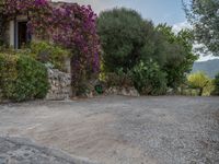 Rural Majorca at Dawn: Paver Road Scene