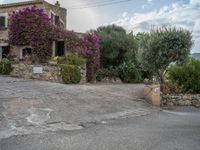 Rural Majorca at Dawn: Spanish Farmhouses and Open Spaces