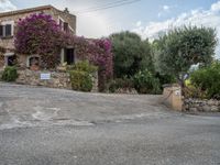 Rural Majorca at Dawn: Spanish Farmhouses and Open Spaces