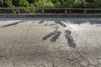 Rural Mexican Landscape Architecture