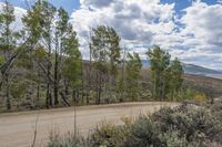 Rural Mountain Road: A Daytime Landscape View