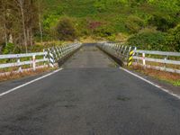 Rural New Zealand: North Island Road