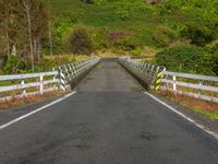 Rural New Zealand: North Island Road