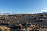 a lone rock formation in a deserted, barren area on a sunny day with blue sky