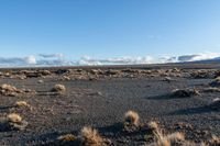 a lone rock formation in a deserted, barren area on a sunny day with blue sky