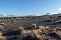 a lone rock formation in a deserted, barren area on a sunny day with blue sky