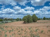 Rural Off-Road Track in Utah: Breathtaking Landscape