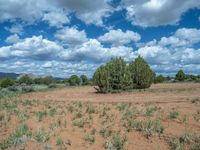 Rural Off-Road Track in Utah: Breathtaking Landscape