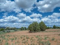 Rural Off-Road Track in Utah: Breathtaking Landscape