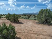 Rural Off-Road Track in Utah, USA