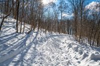 Rural Ontario, Canada: Snow Covered Road