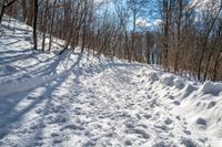 Rural Ontario, Canada: Snow Covered Road