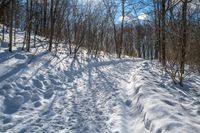 Rural Ontario, Canada: Snow Covered Road