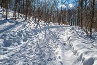 Rural Ontario, Canada: Snow Covered Road