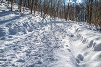 Rural Ontario, Canada: Snow Covered Road