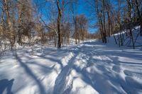 Rural Ontario Canada Snow Covered Road with Clear Sky