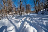 Rural Ontario, Canada: Snow Covered Road with Clear Sky