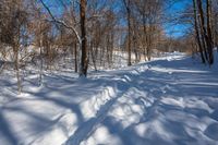 Snow Covered Road in Rural Ontario, Canada with Clear Sky