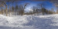 a snowy path with trees on each side of it and the sun shining through the sky