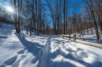 a path surrounded by snow and trees during the day with bright sunlight in the background