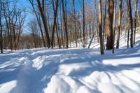 a large amount of snow covers the ground in the woods on a sunny day in winter