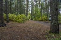 Rural Ontario Landscape in Canada Forest