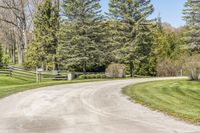 an empty rural road with a large gated gate in the distance between trees and a path lined with greenery