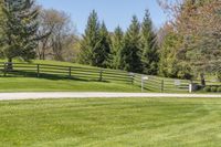 there is a fence and two horses near the grass field with trees on it of which you can see some small yellow flowers in it